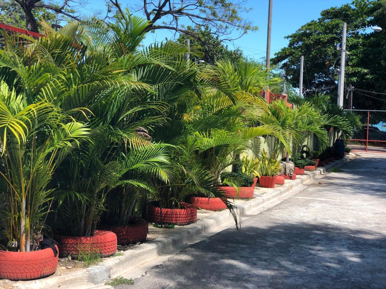 Hotel Guarocuya De Barahona エクステリア 写真
